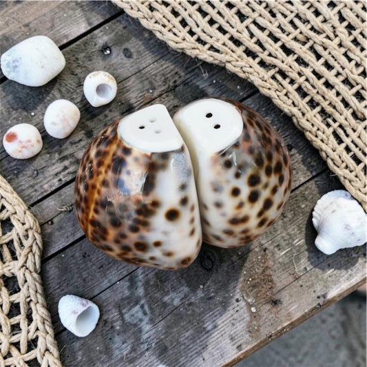 Cowrie Shell Salt + Pepper Shakers