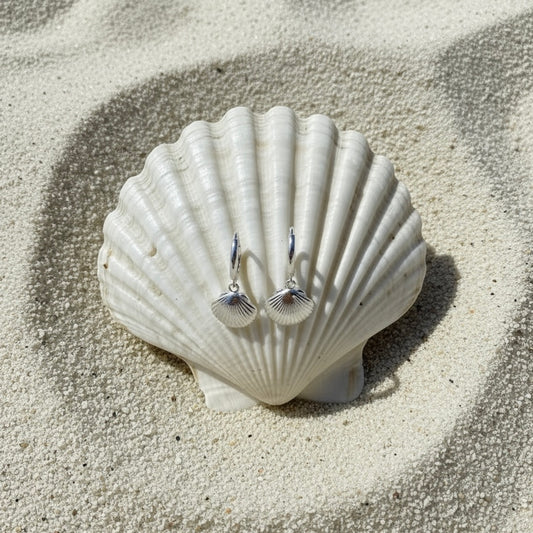 Clam Shell Huggies