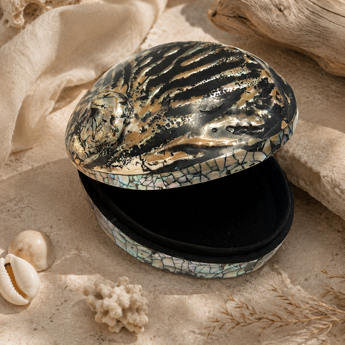 Abalone Shell Treasure Box