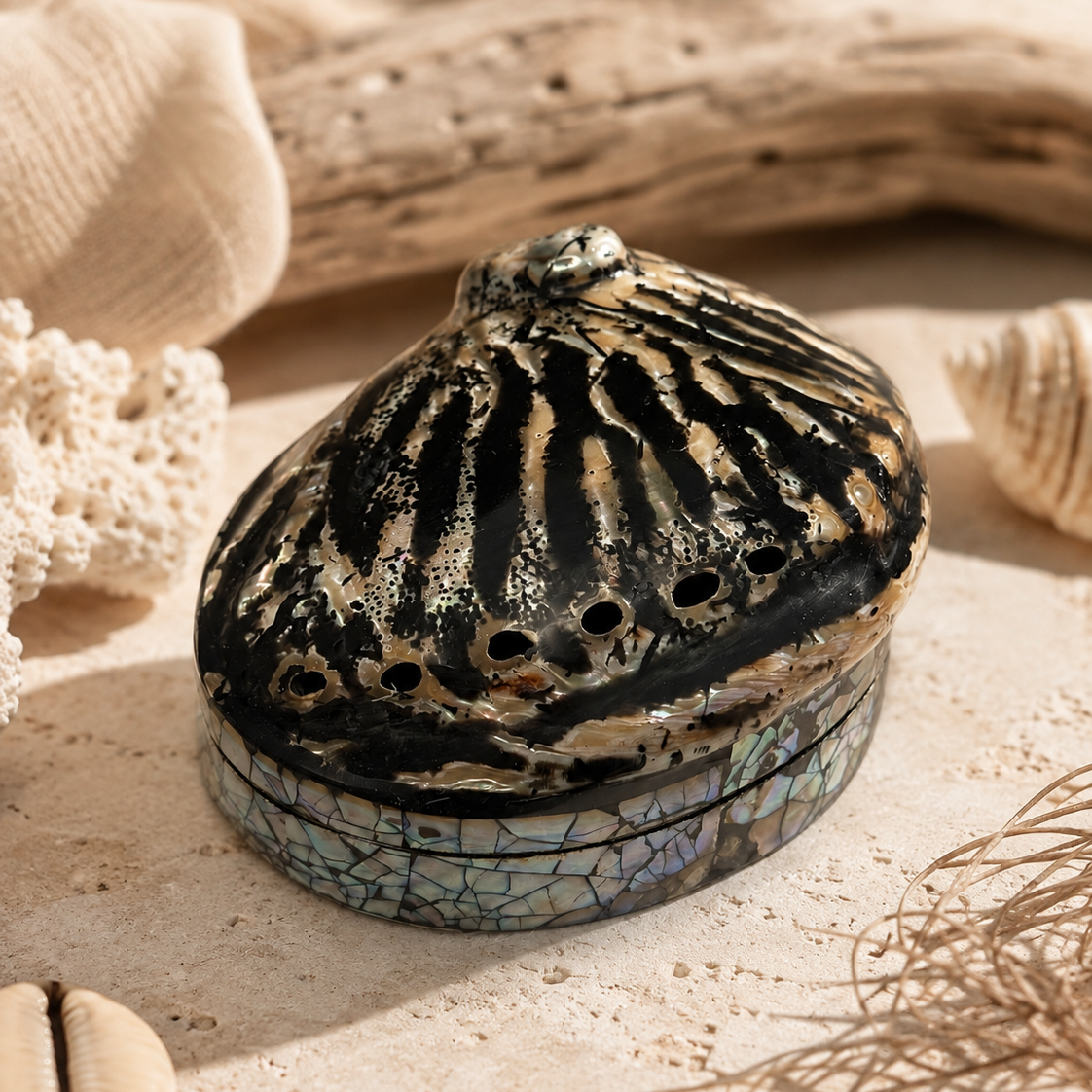 Abalone Shell Treasure Box