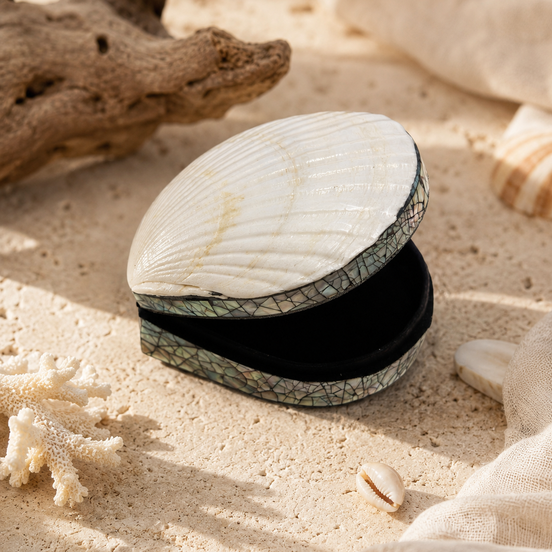 Scallop Shell Treasure Box