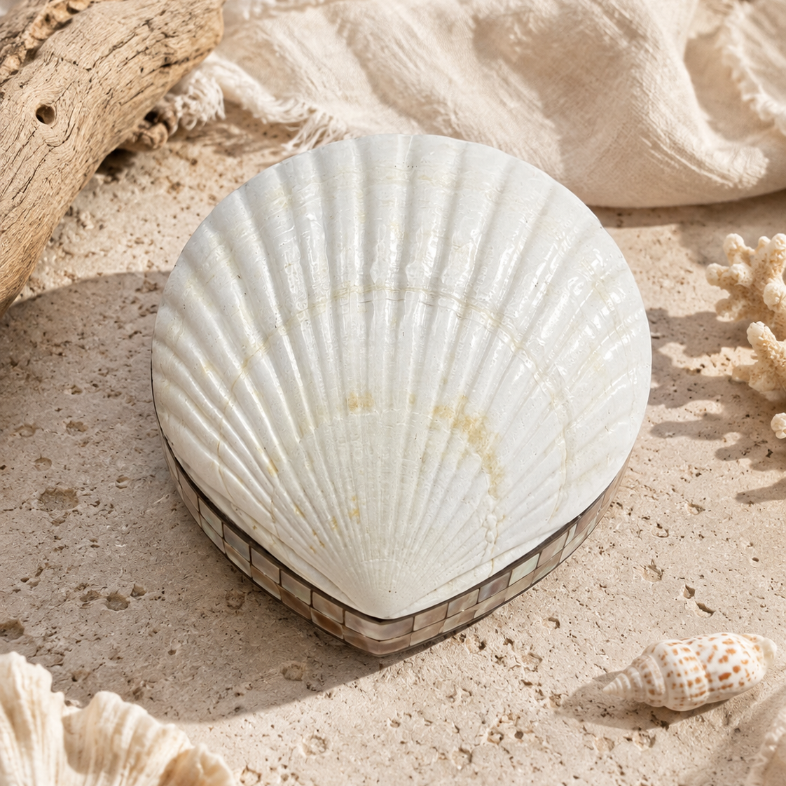 Scallop Shell Treasure Box