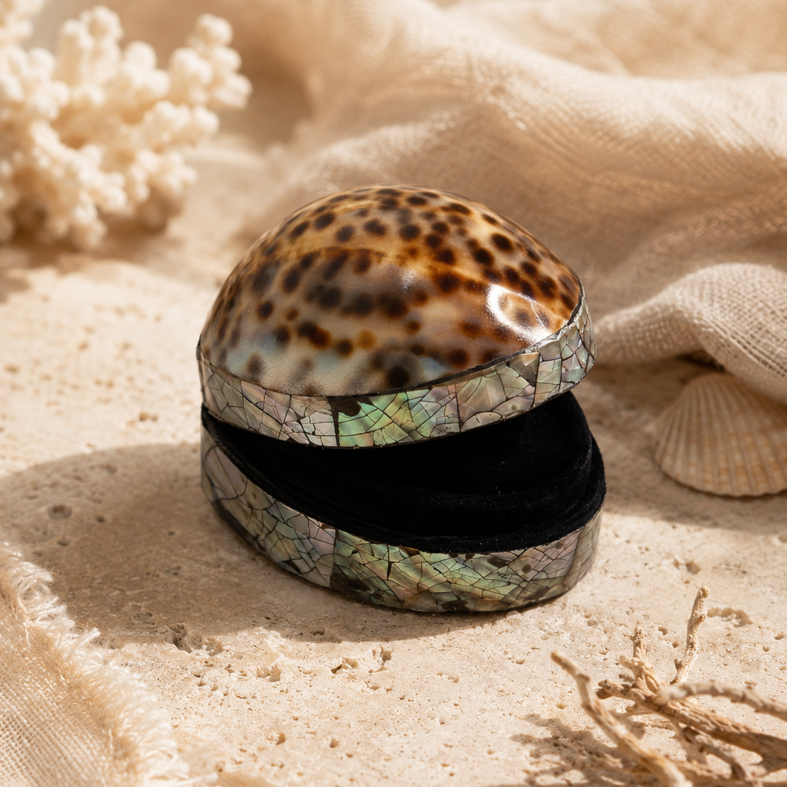 Cowrie Shell Treasure Box
