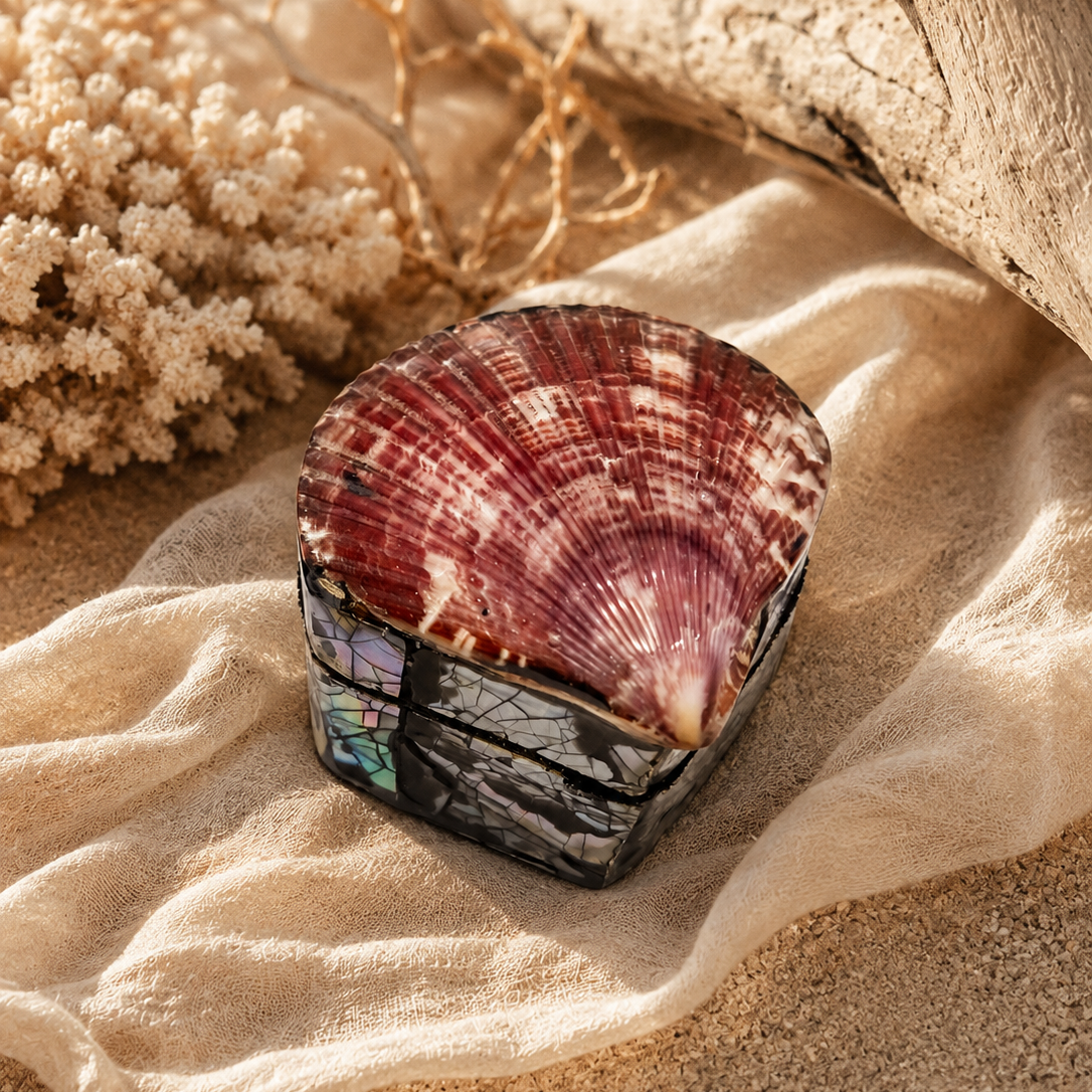 Mini Scallop Treasure Box
